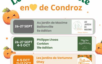 🎃 Venez fêter les courges en 💛 de Condroz avec nos 3 cucurbiticulteurs !
