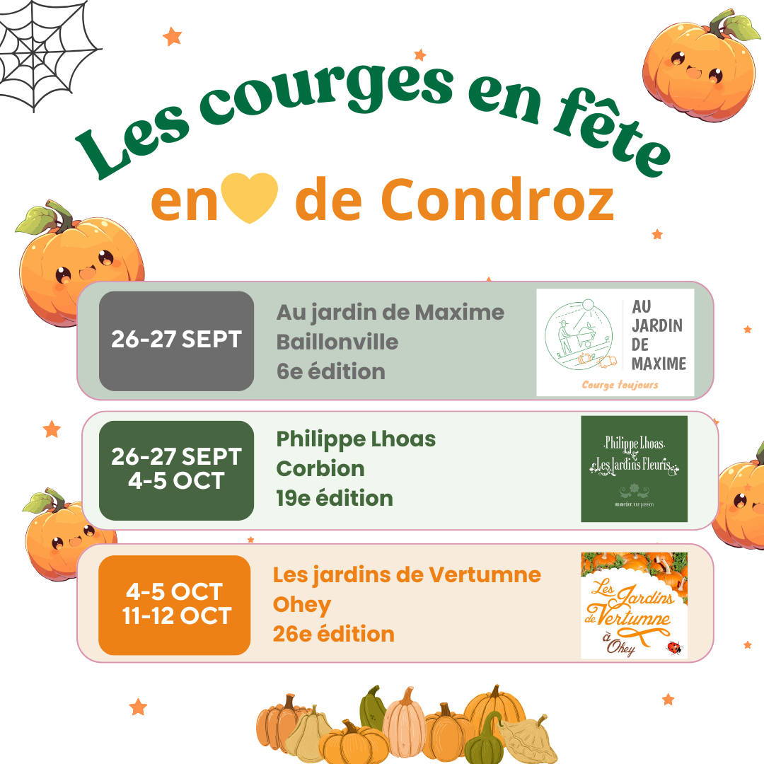 Les courges en fĂȘte